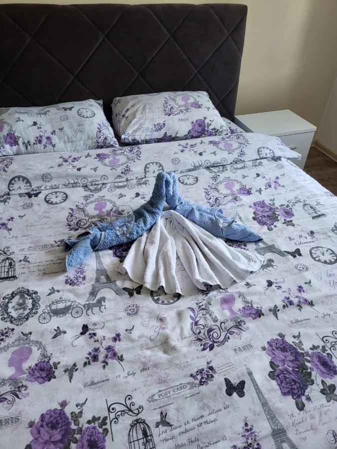 Centar_Park Apartment Arandjelovac Luaran gambar